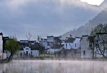 五粮液回收，市场现象与深度解析